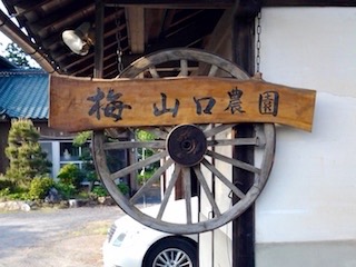 山口農園看板